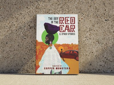 Zambia’s Latest Book, The Boy in the Red Car, Hits Shelves