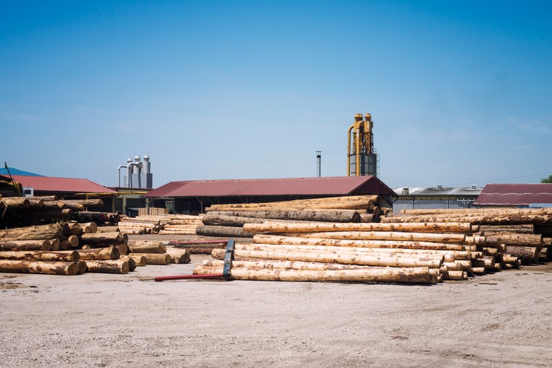 Inside the Secret Trade of Zambia’s Mukula Wood
