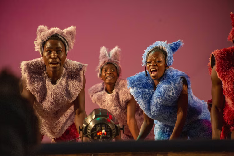 The production reclaims Nkoloso's legacy not as an eccentric fantasy but as a radical anti-colonial act—a metaphorical protest against a Western lens that took his improvisations too literally. (Image courtesy of Circus Zambia & Wake the Beast).