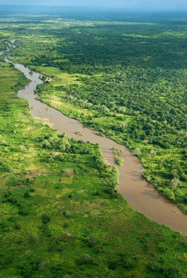 Aerial view of the Luangwa River