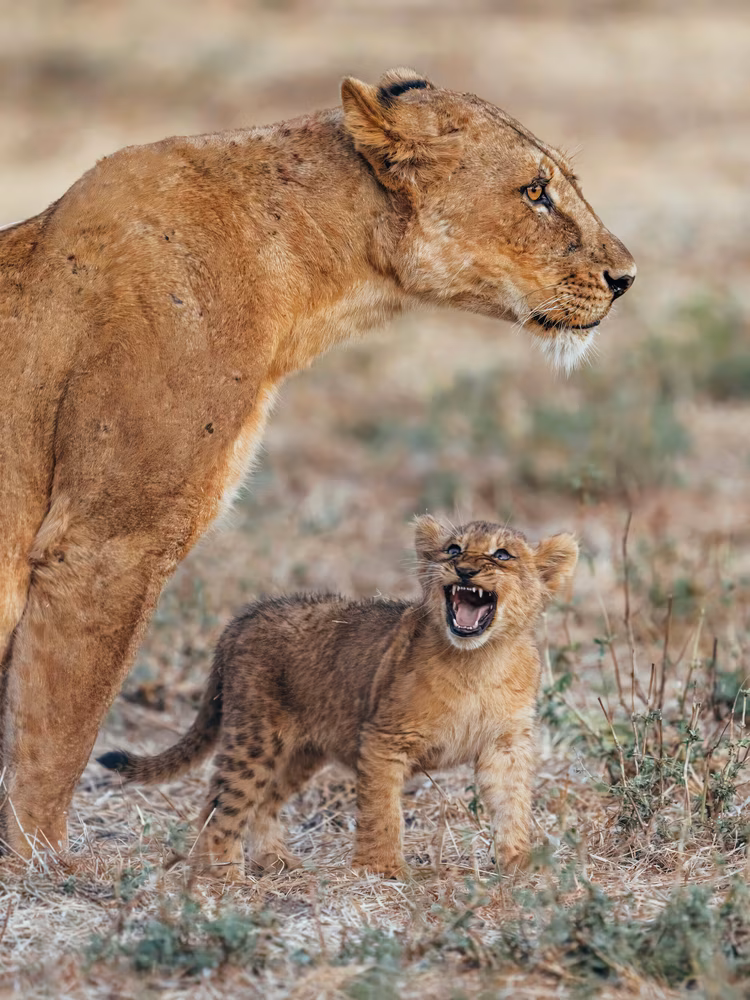 Lower Zambezi National Park once being a private reserve helped preserve its wilderness and left it quieter than many better-known safari destinations. (Image courtesy of Rachel Rebibo).