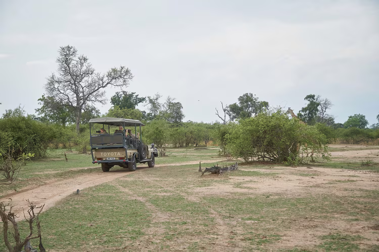 A bumper harvest has eased food-security concerns despite ongoing power shortages. Allocation to agriculture, livestock, and fisheries amounts to K15.5 billion in 2026.