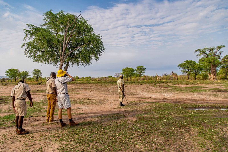 Tourism at an Inflection Point