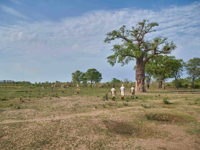 Your Guide to South Luangwa National Park