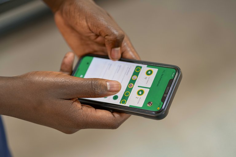 Meet the Zambian Using AI to Increase Local Farmers' Yields