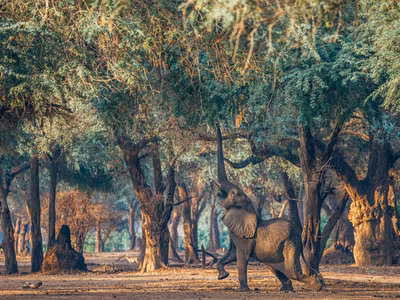Lower Zambezi: The Last Sanctuary on Earth