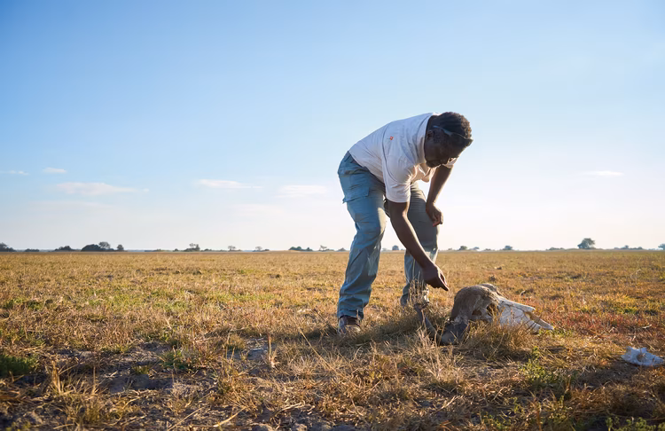 Human history, animal history, and the ecosystem all merge into one. Isaac is part-educator and part-storyteller, somehow part of this landscape. (Image by Chona Mweemba for Nkwazi Magazine).