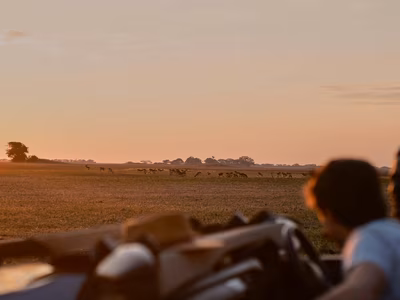 Tourism at an Inflection Point