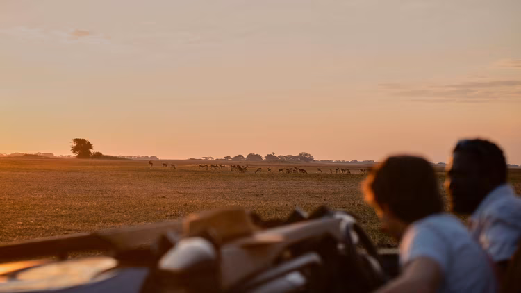 Tourism in Zambia, frequently dubbed a sleeping giant, has long been seen as a key driver of economic growth, though it has not lived up to that promise. (Image courtesy of Chona Mweemba for Nkwazi Magazine).