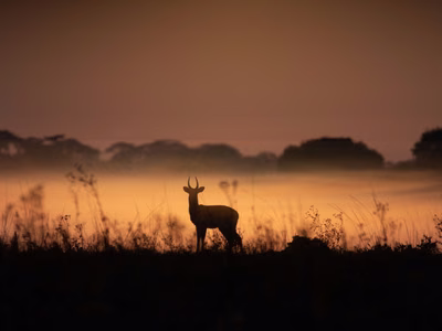 A Traveller’s Guide to Kafue National Park