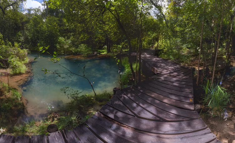 Monkey Pools is perfect for travellers seeking a peaceful mind reset, these natural pools offer clear waters surrounded by flora. (Image courtesy of Monkey Pools).
