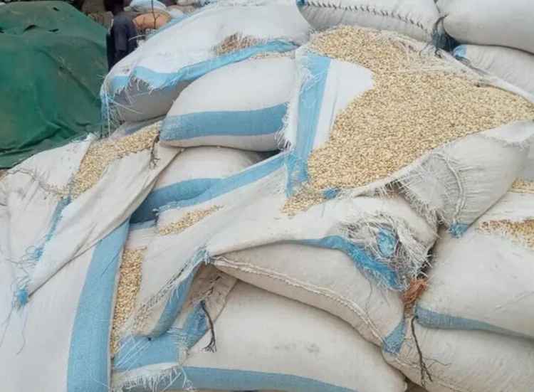 Dried maize in storage sacks. (Image by Lusaka Times).