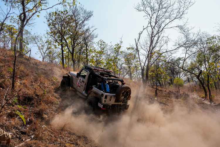 Hippo Charge Heroes Dust (Image by Gareth Vidmar)