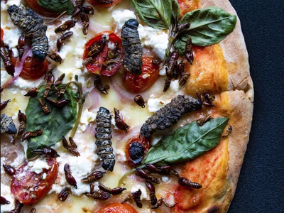 Bugs on the Menu: Is the World Ready?