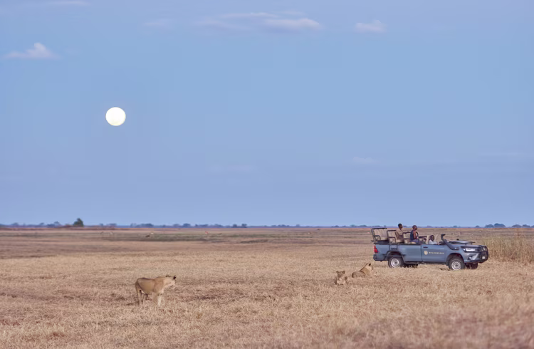 A safari lodge runs on two parallel tracks: one visible, one not. While guests are on the morning drive, housekeeping and kitchen teams reset the camp.