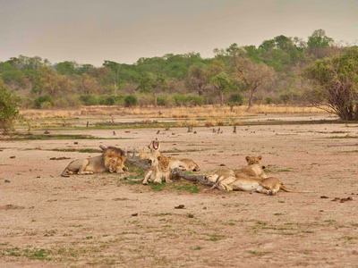 A Boost for Zambian Tourism
