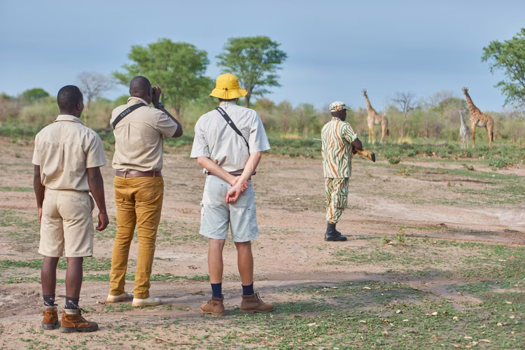 During the green season, many national parks flood, becoming inaccessible to vehicles and other forms of transportation. (Image by Chosa Mweemba for Nkwazi Magazine).