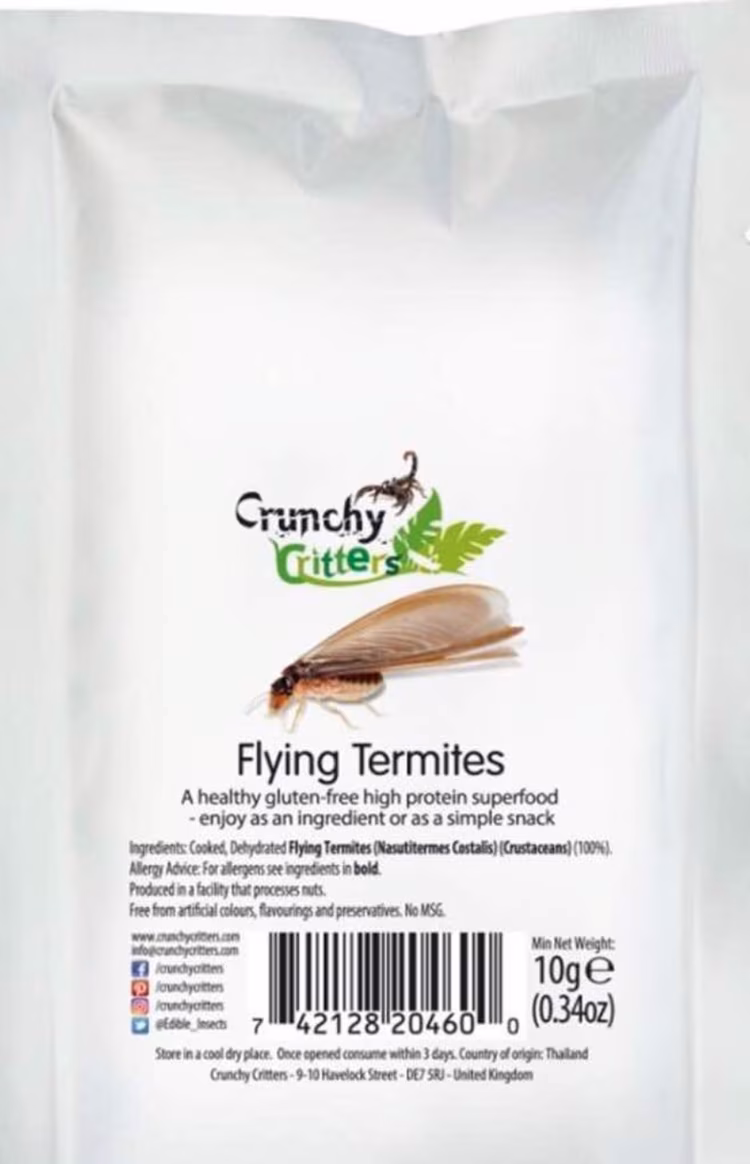 Flying ants (Image courtesy of Chipokota).