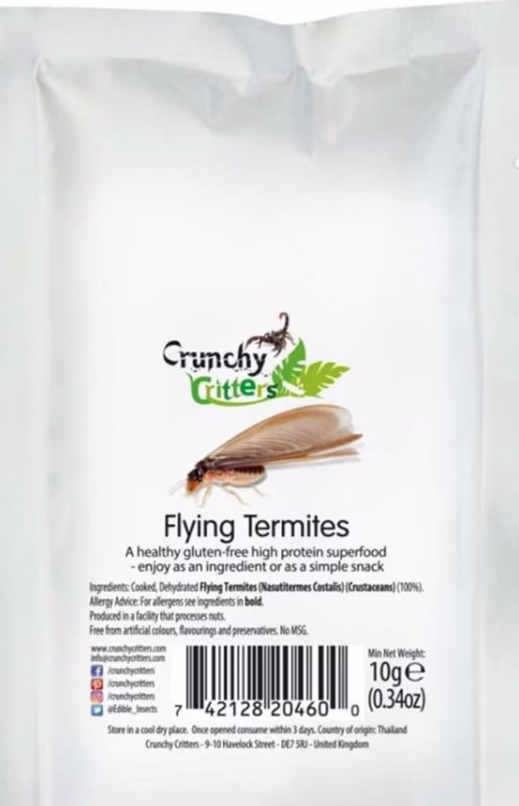 Flying ants (Image courtesy of Chipokota).