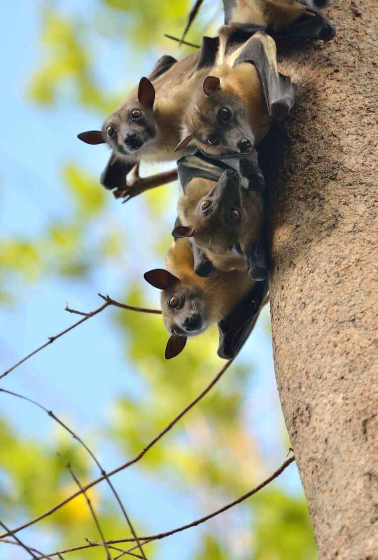 (Image by Fabian von Poser/Alamy)