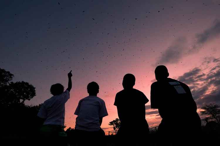 Local children view the Kasanka  bat migration (Image by Nick Garbutt)