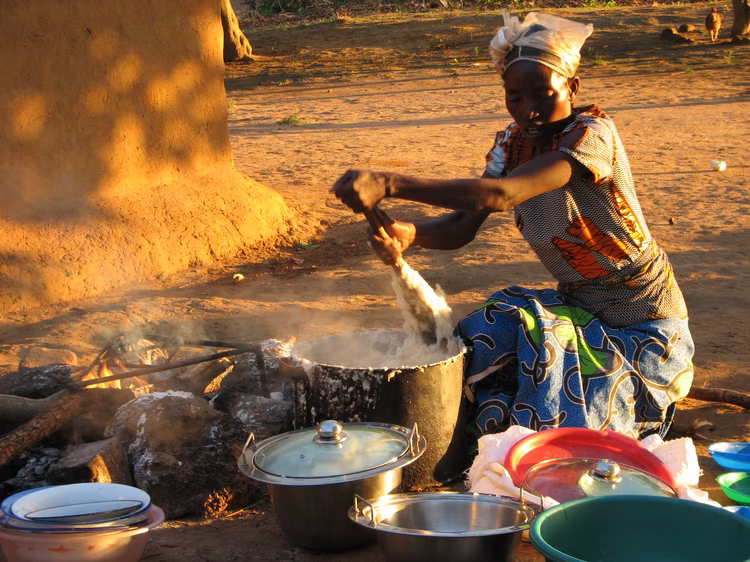 Not every meal needs to revolve around nshima. Even replacing one nshima meal a day with rice, sweet potatoes or cassava can reduce repeated spikes in blood sugar. (Image courtesy of Gerhard302 via Wiki Media).