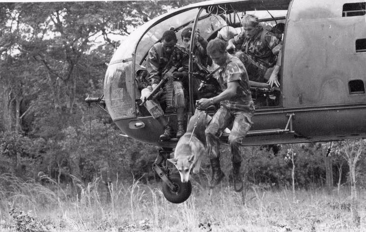 Nearly five decades after the Battle of Kavalamanja, Luangwa continues to symbolise resilience as it confronts modern threats to regional security and economic stability. (Image courtesy of The Patriot Newspaper-Celebrating Being Zimbabwean).