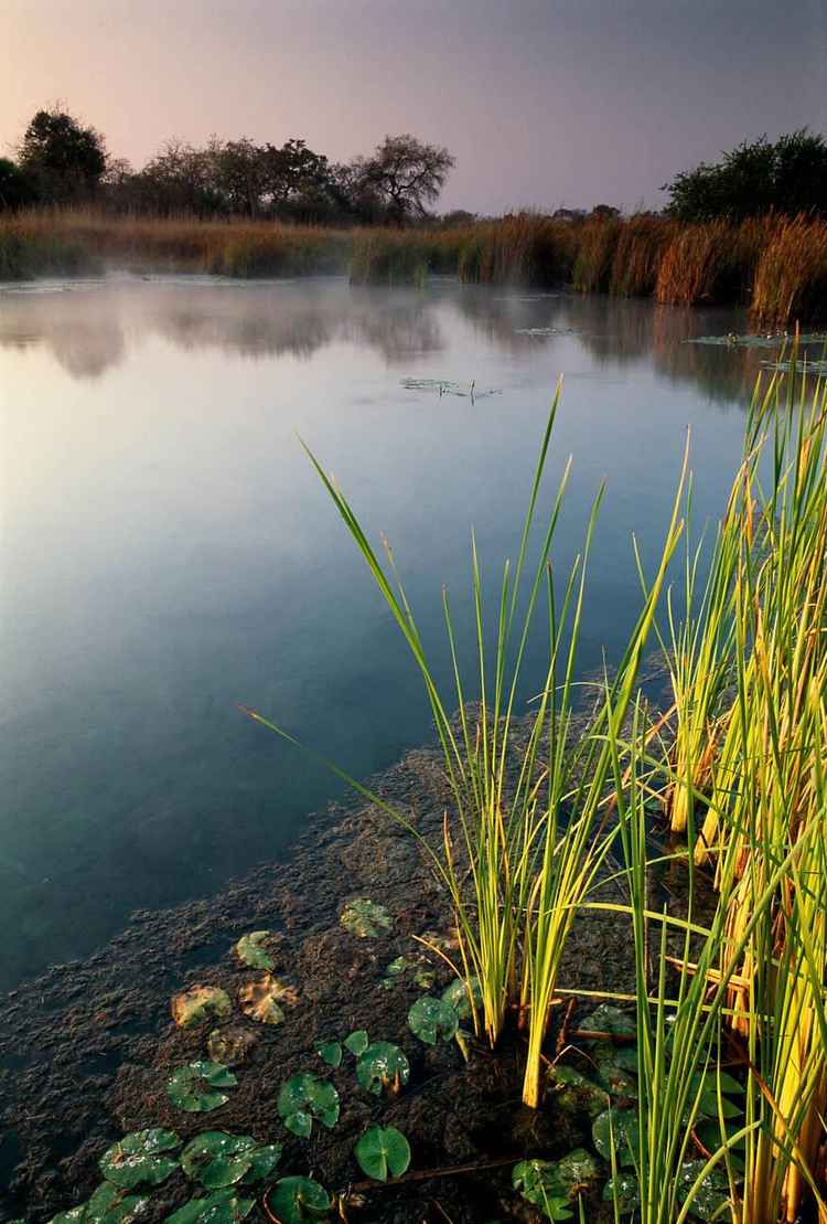 Hot Spring in Zambia (Image by Koos Van Der Lende)