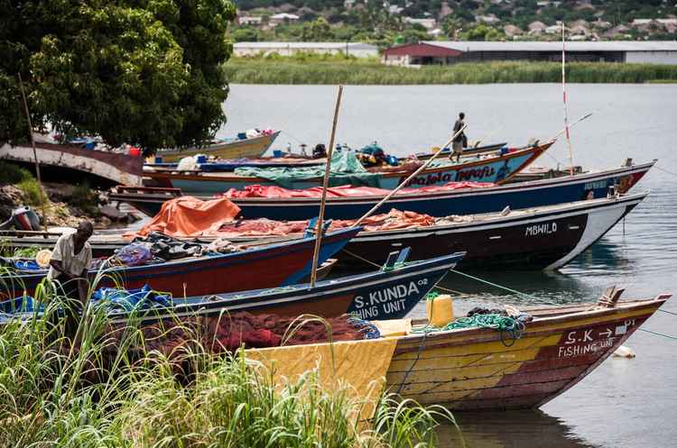 Nsumbu National Park is along the shores of Lake Tanganyika (Image by Guy Oliver)