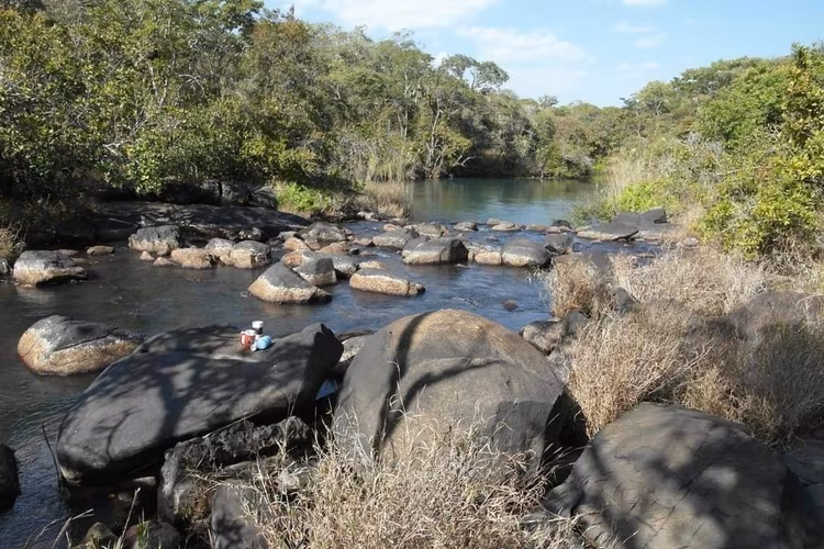 This park comprises pristine Miombo woodlands, large dambo wet grasslands, and gallery forests along the Lukulu and Lulimala Rivers. (Image courtey of Kingsfari).