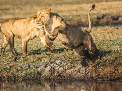 The Ultimate Tourist Guide for Your First Zambian Trip