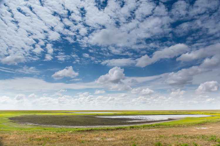 Liuwa Plain is known for its vast, seemingly endless landscapes (Image by Herbert Kratky)