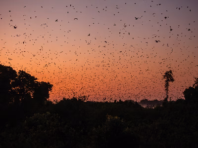 Tourist Destinations in Zambia You Need to Know