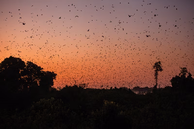 Tourist Destinations in Zambia You Need to Know