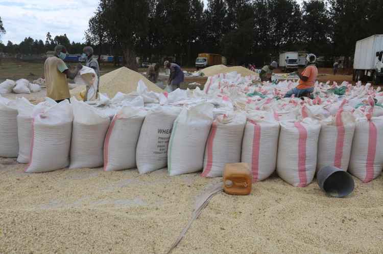 Maize in sacks awaiting processing.