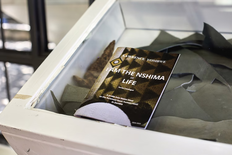 The exhibition catalogue  is displayed alongside the  installation. (Image courtesy of Anthony Black).