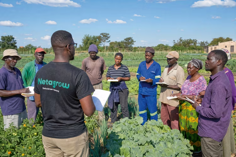 To this end, he began supplying farmers with inputs such as irrigation kits. (Image courtesy of Netagrow Technologies).