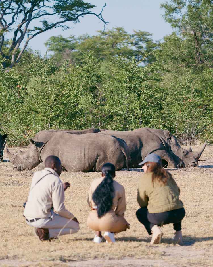 Rhino Walk. (image by Andrew Macdonald, courtesy of Green Safaris).