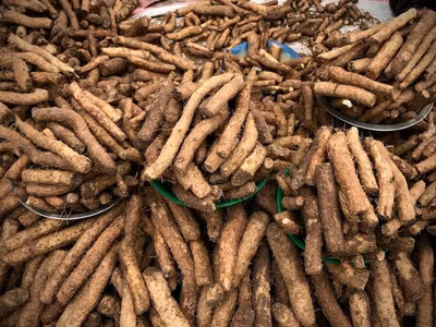Root Origins: Indigenous Drought-Resistant Crops