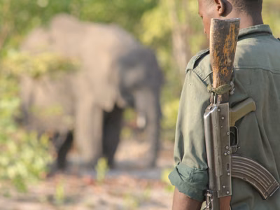 Silencing the Shots: A Poacher’s Redemption