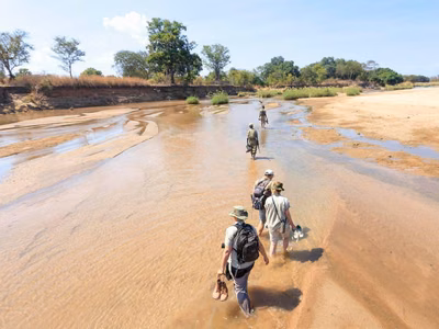 Wild History: Zambia, The Home of Walking Safari