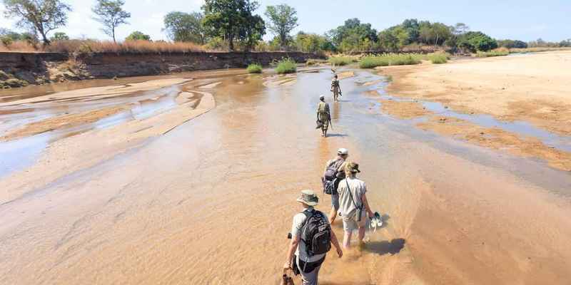 South Luangwa walking safari