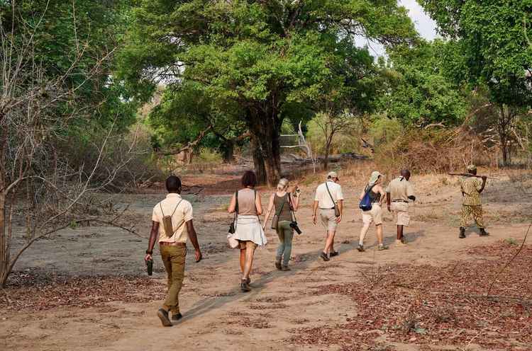 South Luangwa walking safari (Image by Juergen Ritterbach)