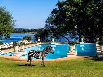 Bask in Graceful Safari Style at The Royal Livingstone