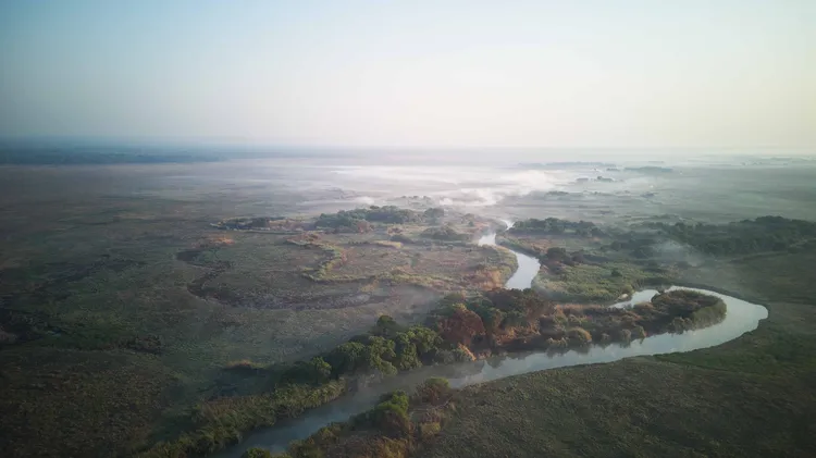 The Carbon Effect: Scars Left on a Warming World.