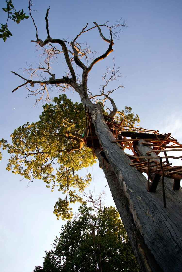 Tree hide for viewing bats in Kasanka (Image by Karen Debler)