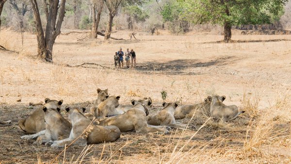 Priced Out of Paradise: Why Can't Zambians Afford to See Zambia?