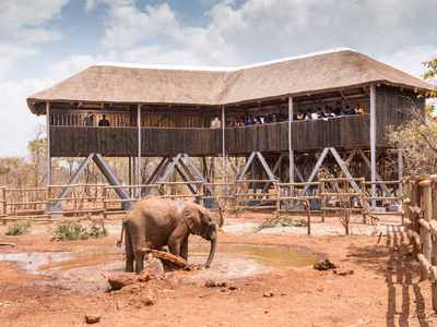 Kid-Friendly Places to Visit in Lusaka