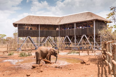 Kid-Friendly Places to Visit in Lusaka