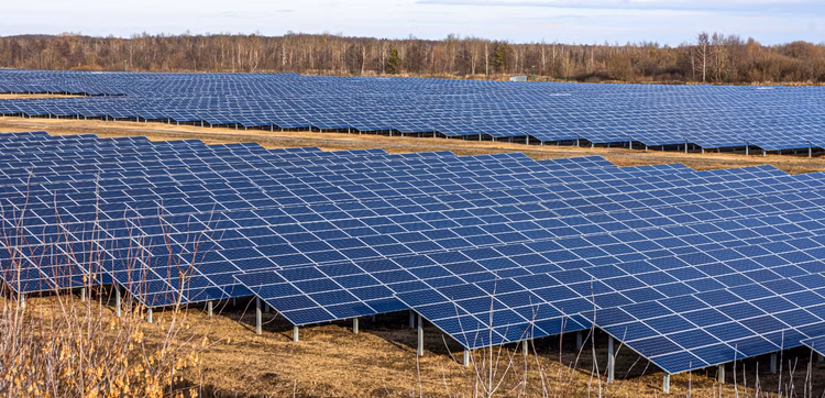 The Chisamba Solar Power Project is a 2025 energy initiative in Zambia designed to supply power to up to 50,000 homes. (Image for representation purposes only).